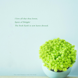 男女性成交大片免费看
