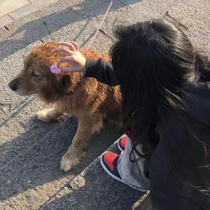 男女性成交大片免费看
