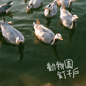 男女性成交大片免费看
