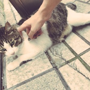 男女性成交大片免费看
